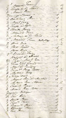 Documento253