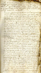 documento81