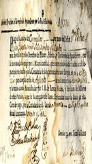 documento125