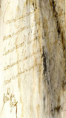 documento126