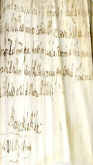 documento137