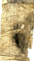 documento146