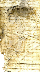 documento149