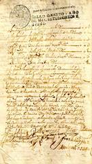 Documento31