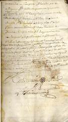 Documento17