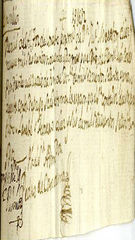 Documento141