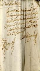 Documento61