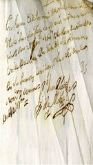 Documento56