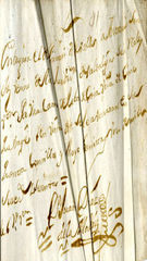 Documento62