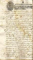 Documento84