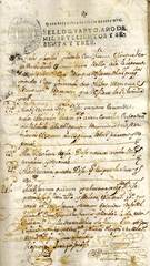 Documento89