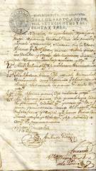 Documento116