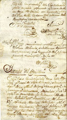 Documento131
