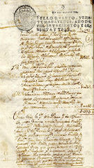 Documento135