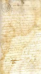 Documento20