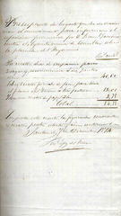 Documento20