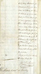 Documento31