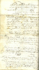 Documento81