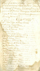 Documento113