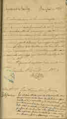 Documento61