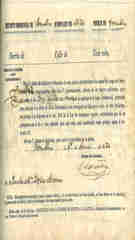 Documento228