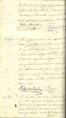 Documento431