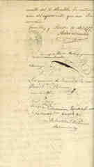 Documento446