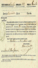 Documento477