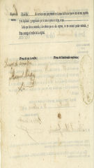 Documento478