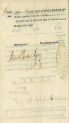 Documento482