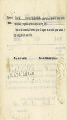 Documento504