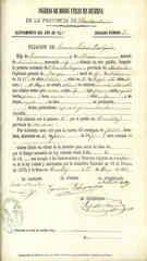 Documento506