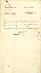 Documento512