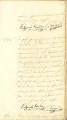 Documento515