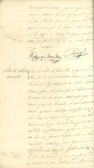 Documento516