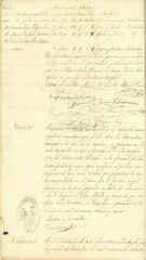Documento518
