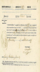 Documento523