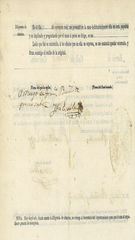 Documento524