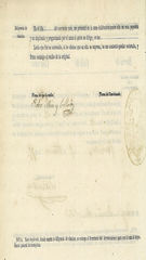 Documento528