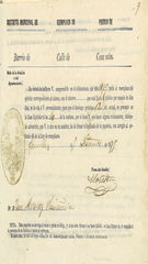 Documento529