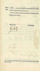 Documento532