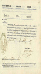 Documento533