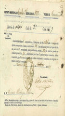 Documento535