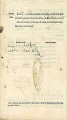 Documento536
