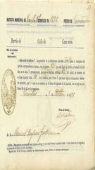 Documento537