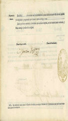 Documento538