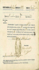 Documento539