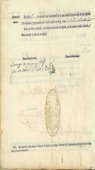 Documento540