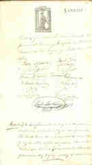 Documento557