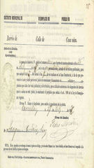 Documento561